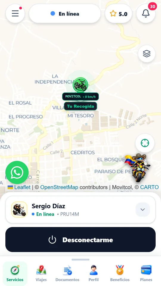 Pantalla del conductor: en línea, esperando viajes